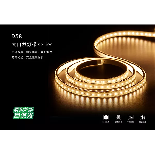 D58 大自然灯带