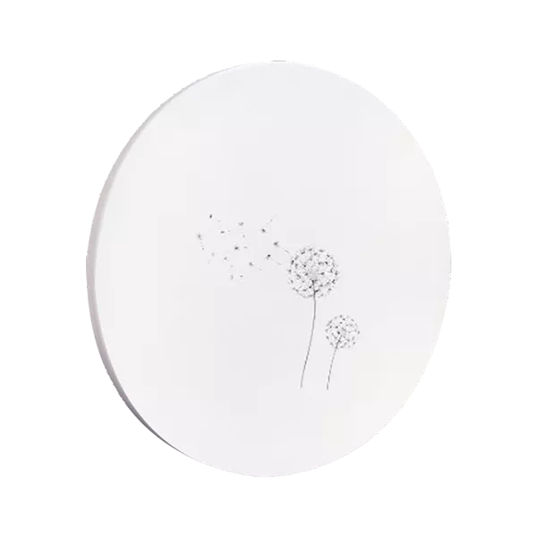 花色：蒲公英